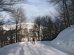 42 Le ombre si allungano